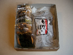 gankodouhome006006.jpg