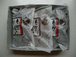 gankodouhome006010.jpg