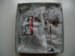 gankodouhome006011.jpg