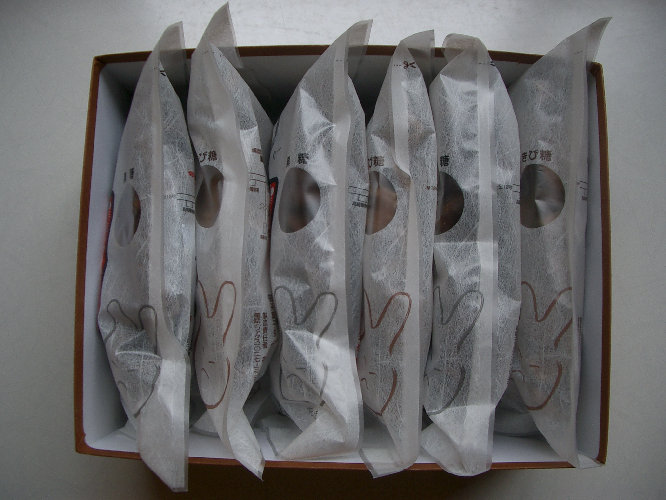 gankodouhome011004.jpg